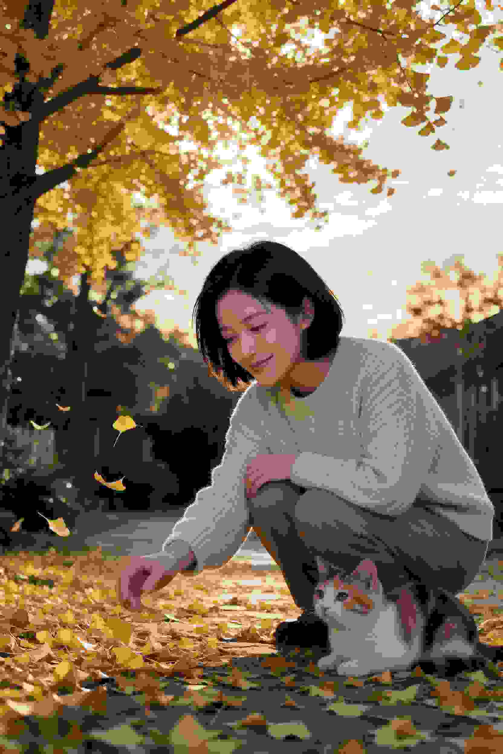 新游戏